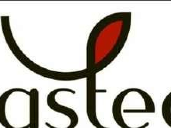 TasteTea