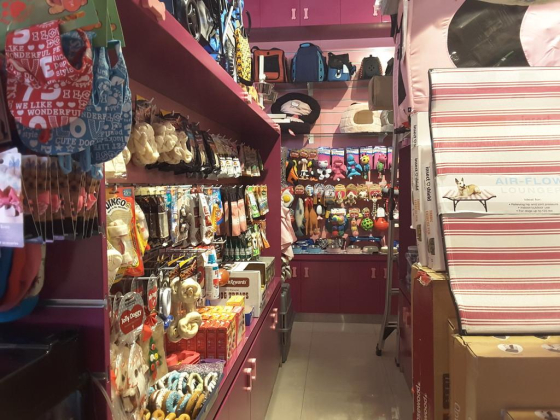 World Of Pets