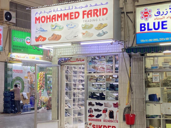 Mohammed Farid Trading