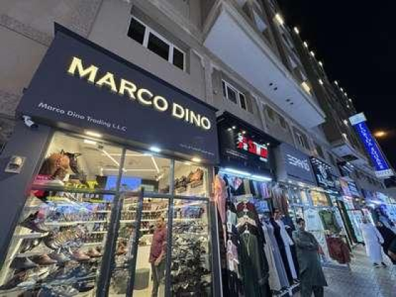 Marco Dino Trading