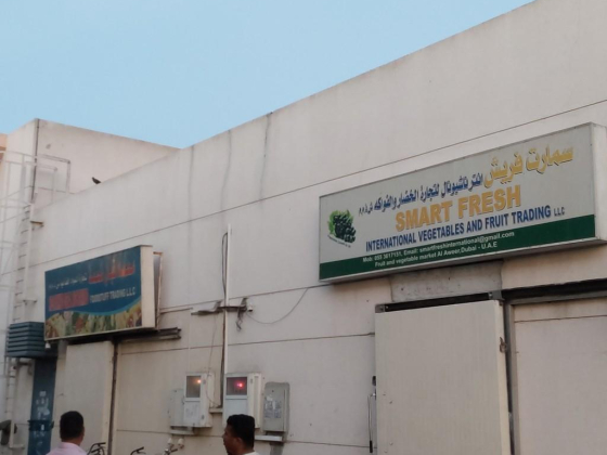 Smart Fresh International Vegetables And Fruit Trading