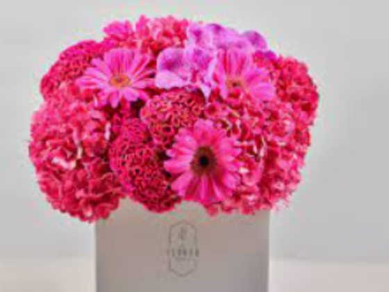 The Flower Society