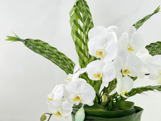 Tiffany Flowers