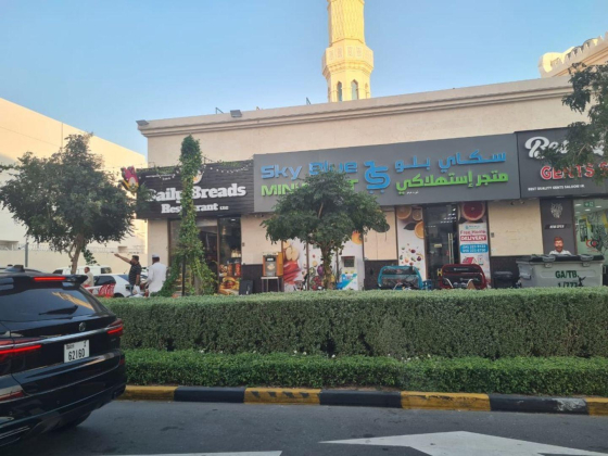 Sky Blue Mini Mart