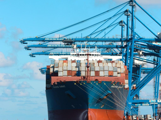 Basit Imran Cargo Services