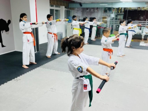 I F K Karate Center (branch)
