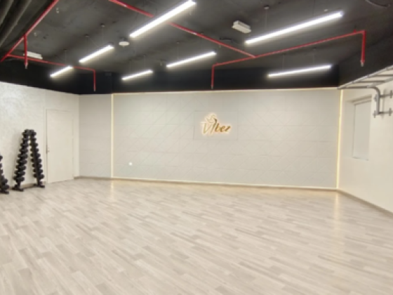 Vibez Studio