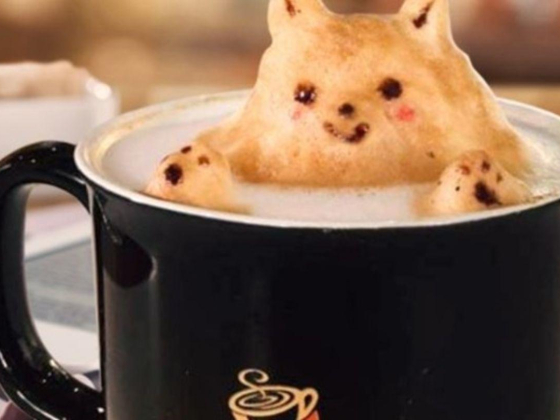 Gloria Jean"s Coffees