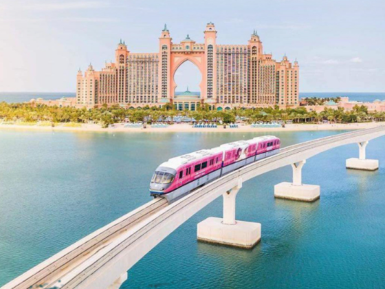 Peace Land Travel & Tourism