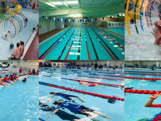 Blue Wave Swimming Training Services