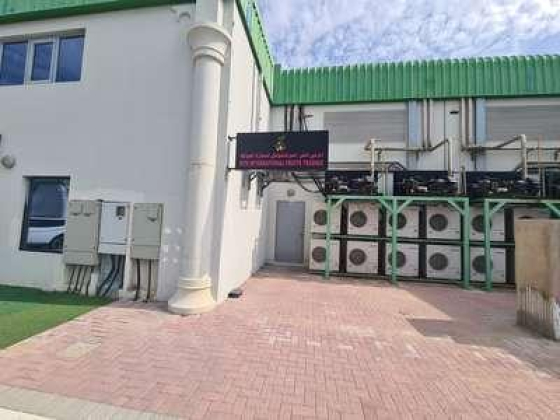 M T H International Fruits Trading