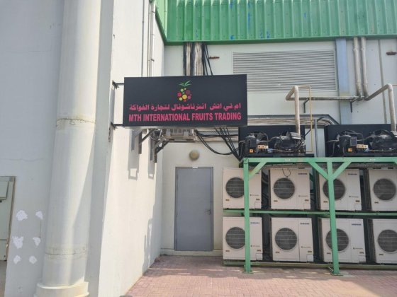 M T H International Fruits Trading