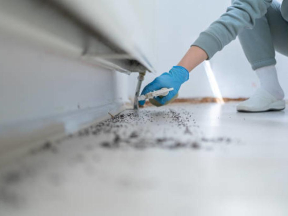 Concept View Pest Control Services