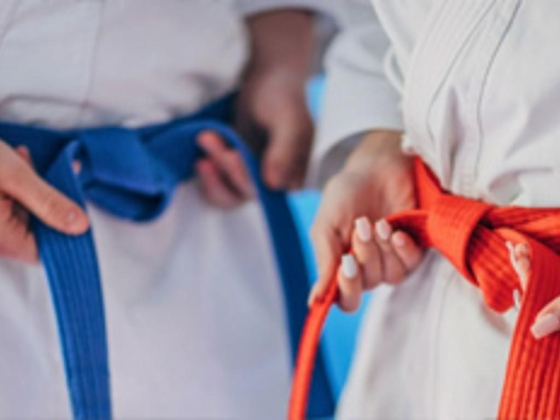 Okinawa Martial Arts Club