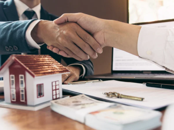 Al Ali Property Investment