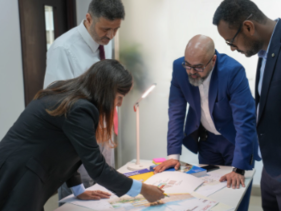 Hdp ​engineering Services
