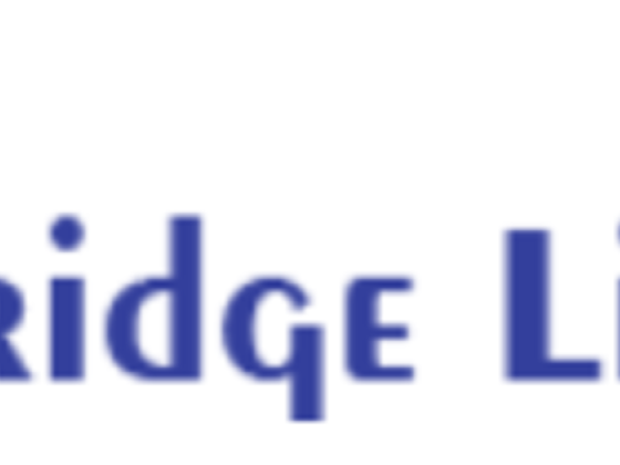 Bridge Link