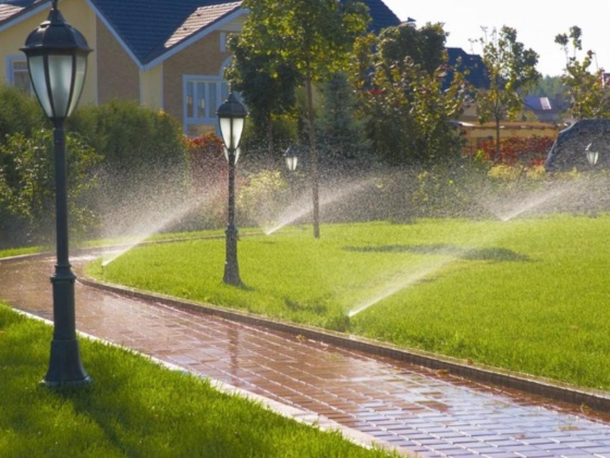 Golden Fountain Agriculture Products Co.