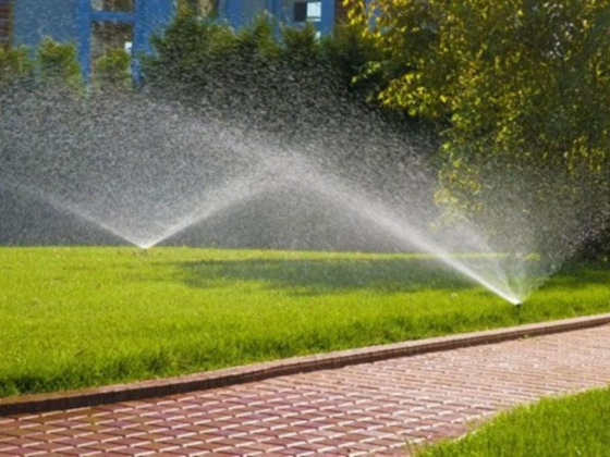 Golden Fountain Agriculture Products Co.