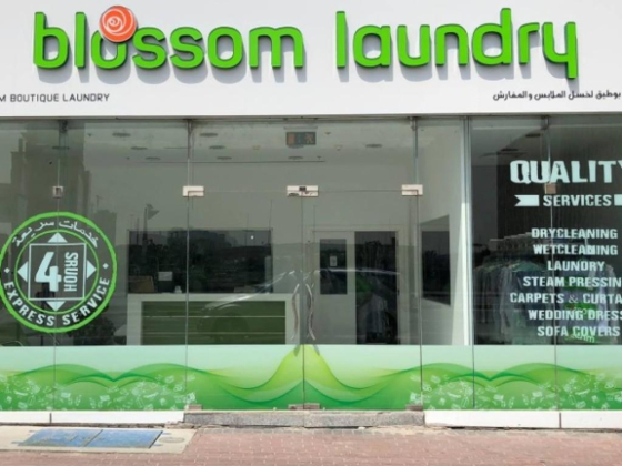 Blossom Express Laundry