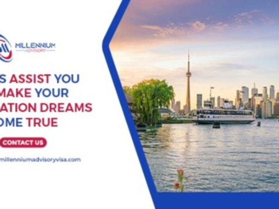 Millennium Advisory Visa Services