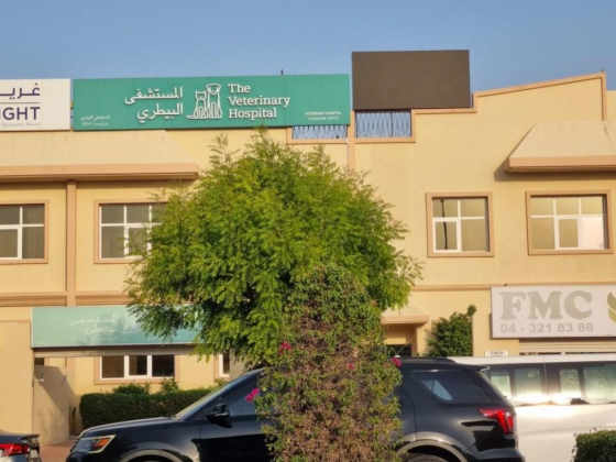 The Veterinary Hospital
