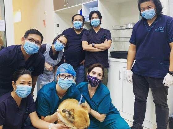 The Veterinary Hospital
