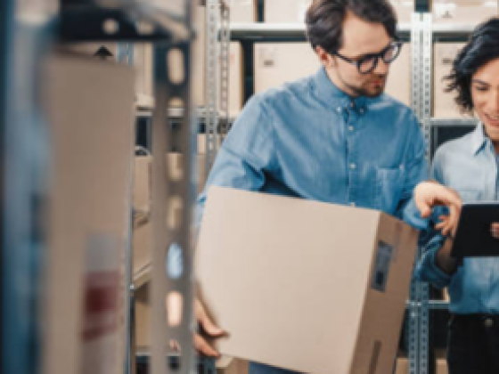 Pro Logistics And Shipping Services