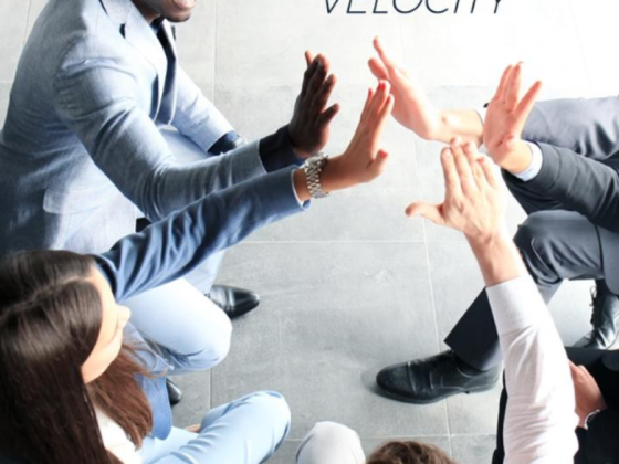 Velocity Mena