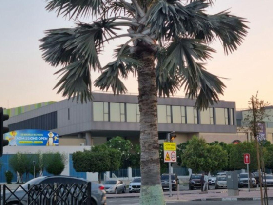Emirates International School