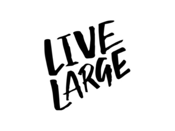 Live Large Holiday Homes Rental