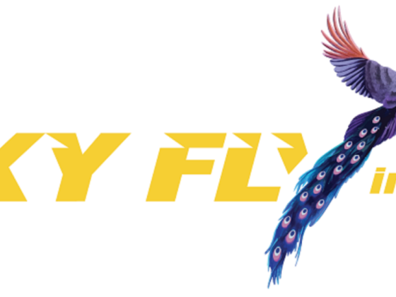 Sky Flying Travel And Tourism