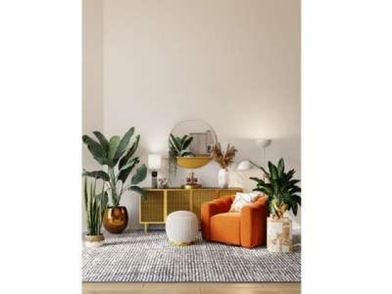 Oasis Casual Living Trading