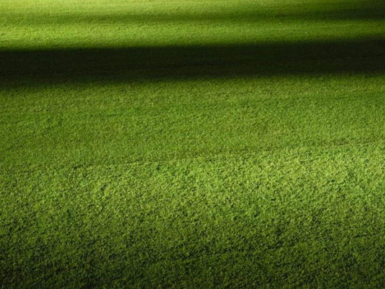 Green View