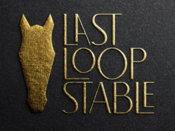 Last Loop Stable