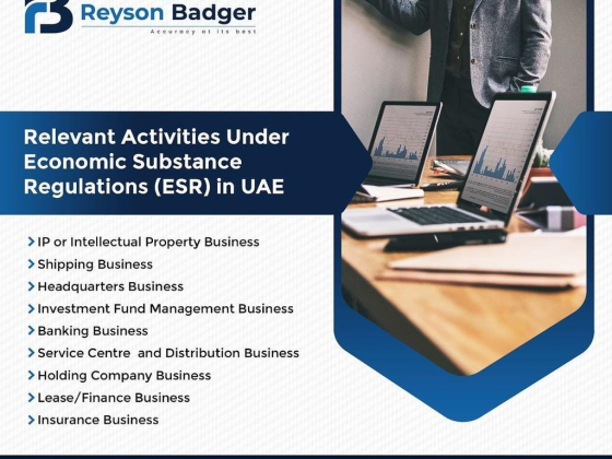 Reyson Badger Consultancy