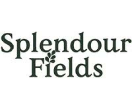 Splendour Fields