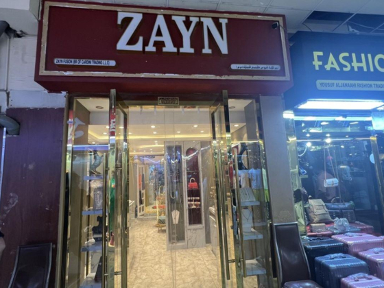 Zayn Fusion