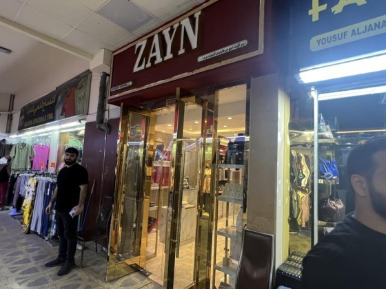 Zayn Fusion