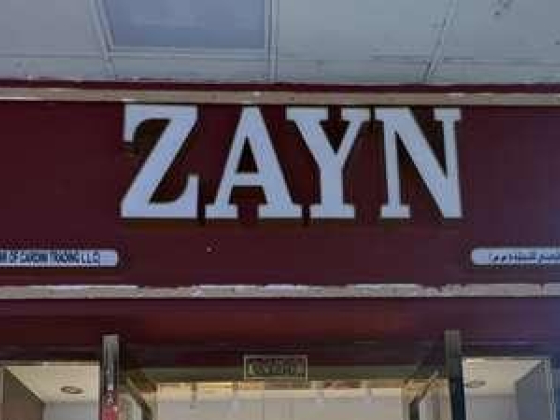 Zayn Fusion