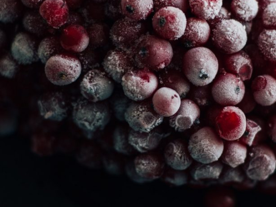 Frozen Foods – Adding Nutrition and Convenience to Your Diet