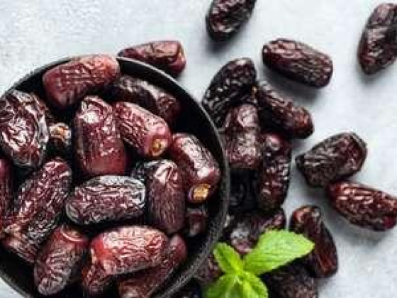 Gulf Dates Trading