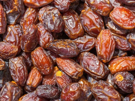 Gulf Dates Trading