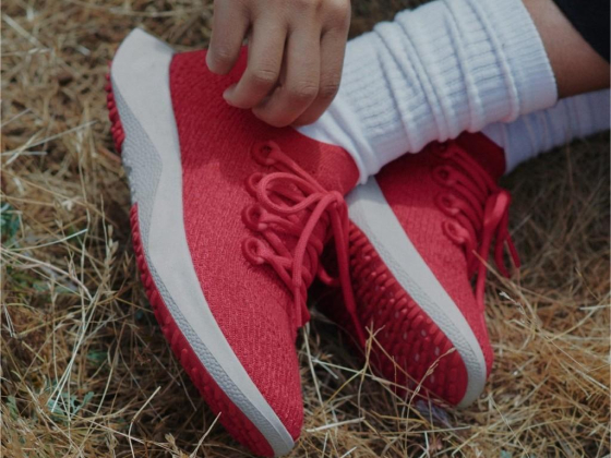 Allbirds
