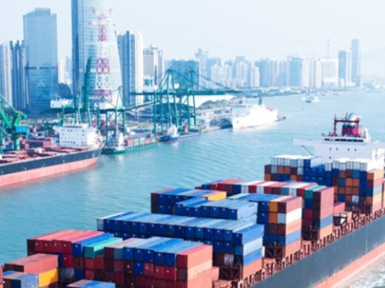 Agm Marine Services