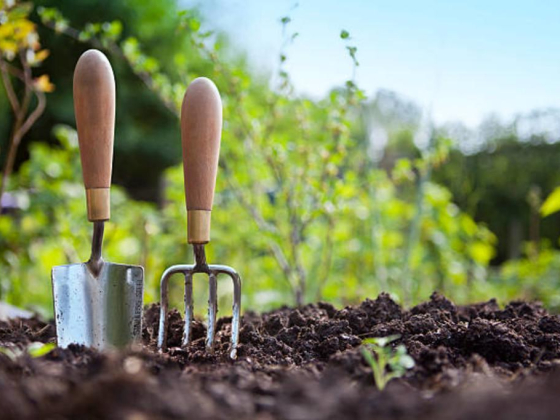Sustainable Garden Trading