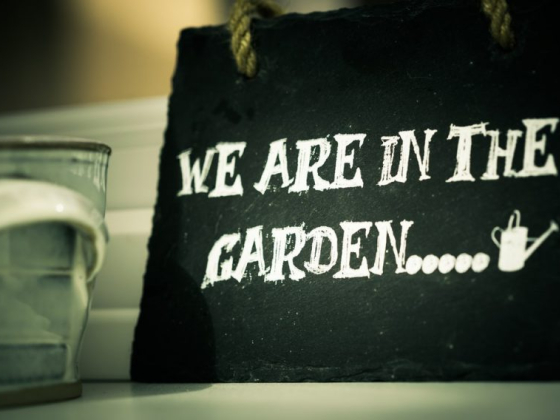 Easy Steps to Start a Garden