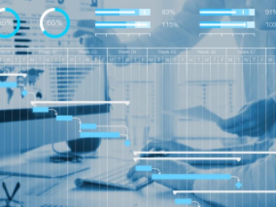 Schedule Tactic Project Management Services