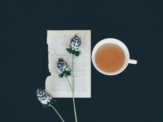 Tea Of Day Cafeteria