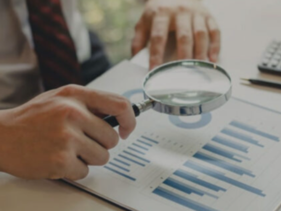 Elevate Accounting & Auditing